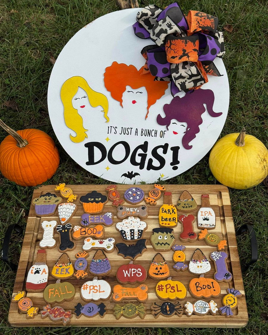 Halloween-themed decorated dog treats from Missy Liu’s Canine Kitchen in Farmington, Arkansas