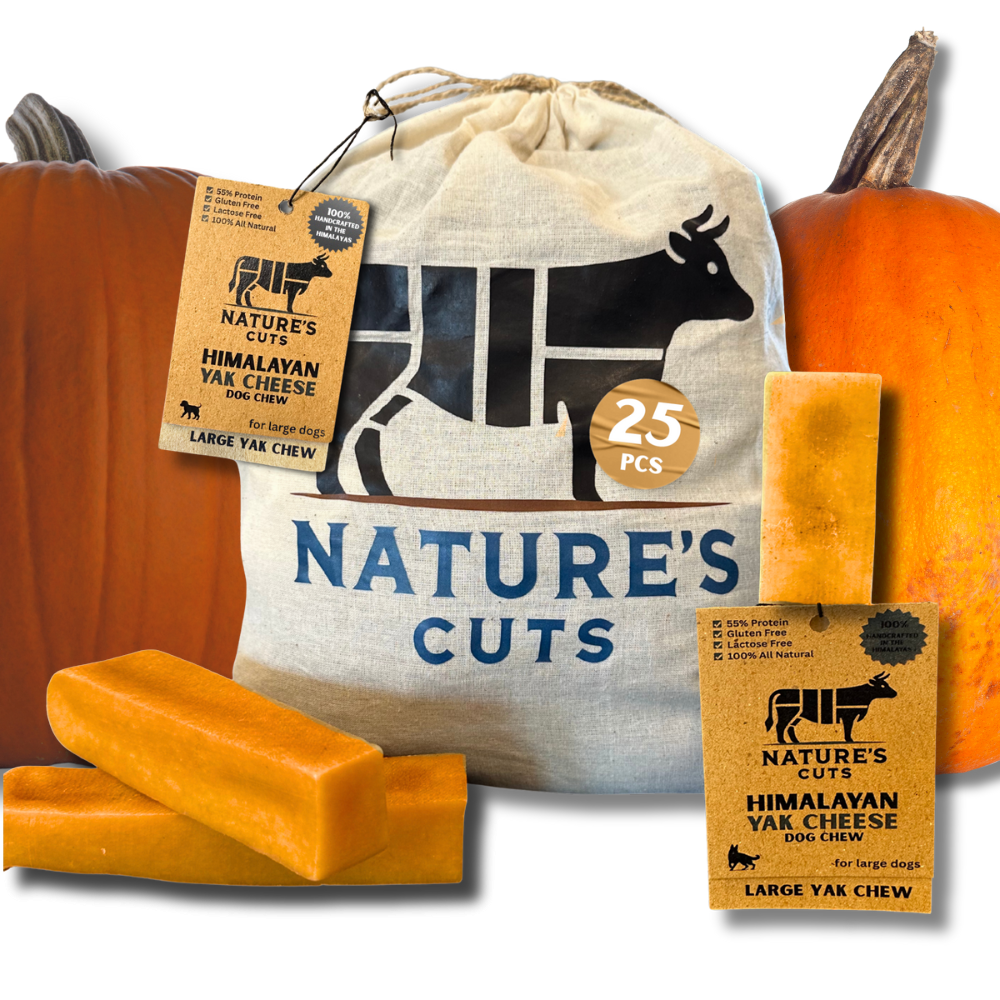Large Pumpkin Flavored Yak Cheese w/ Tag: 25