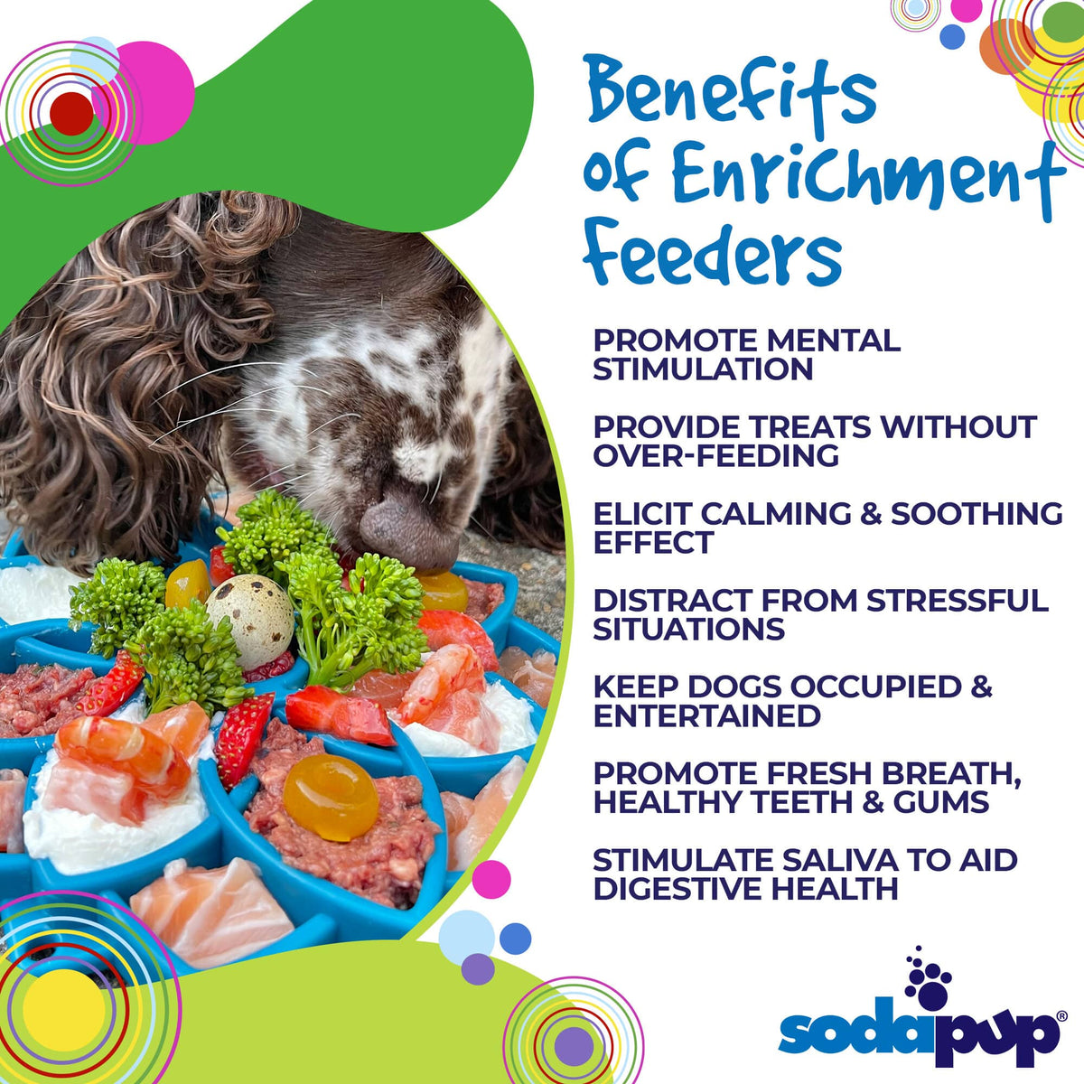 Mandala eTray Shallow Slow Feeder Dog Bowl for Enrichment | USA Made: Purple