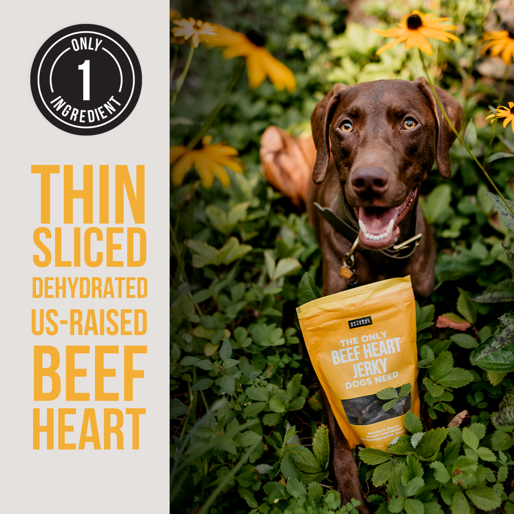 The Only Dehydrated Beef Heart Jerky Dogs Need: Sample Bag - Approx. 1 oz