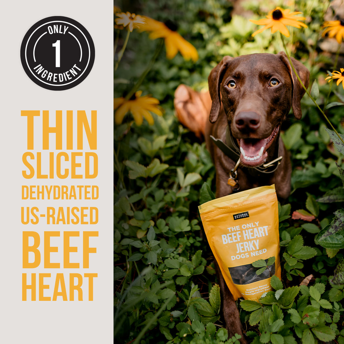 The Only Dehydrated Beef Heart Jerky Dogs Need: Sample Bag - Approx. 1 oz