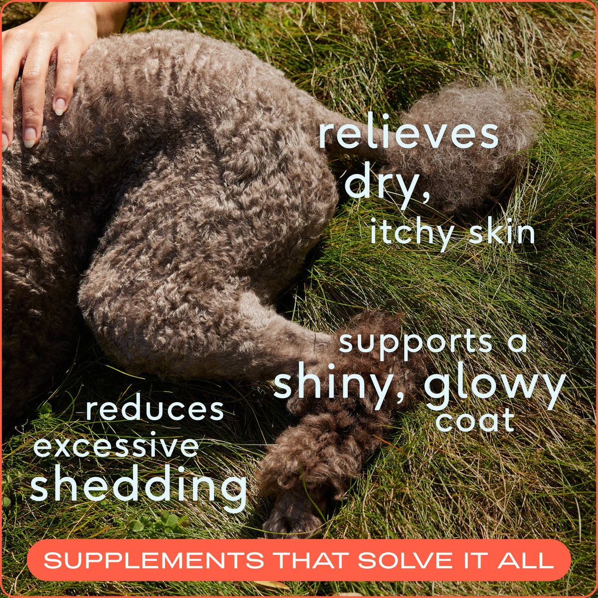 Omega-3 Fish Oil, Skin & Coat Health Supplement for Dogs: 8 oz