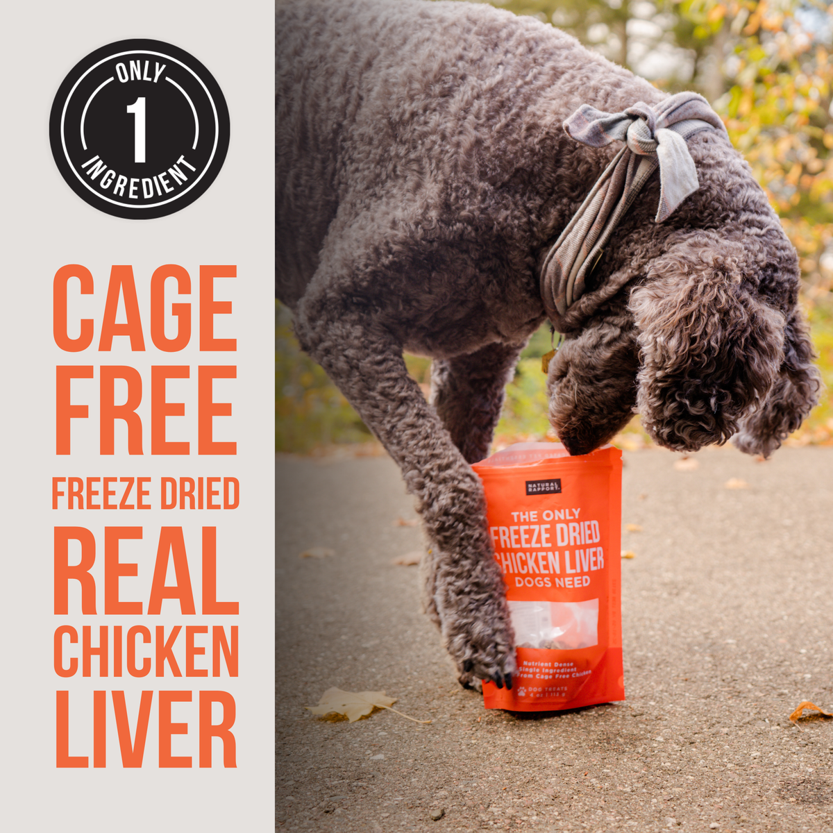 The Only Freeze Dried Chicken Liver Dogs Need: Sample Bag - Approx. 1 oz