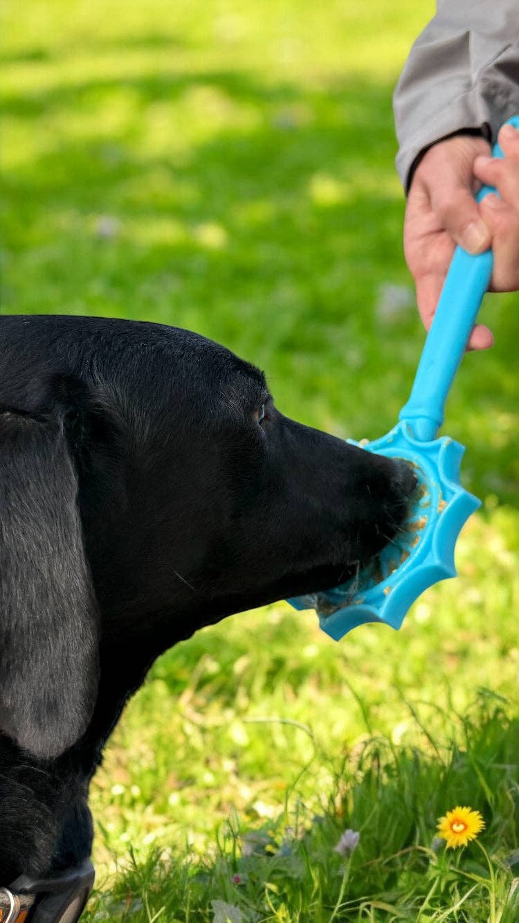 EStick Hand-Held Dog Enrichment Toy - Interactive Lick Stick | USA Made: Flower Lick Stick - Light Blue