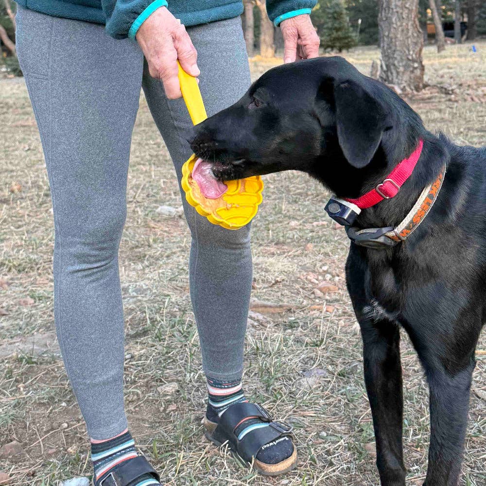 EStick Hand-Held Dog Enrichment Toy - Interactive Lick Stick | USA Made: Ice Cream Cone Lick Stick - Pink