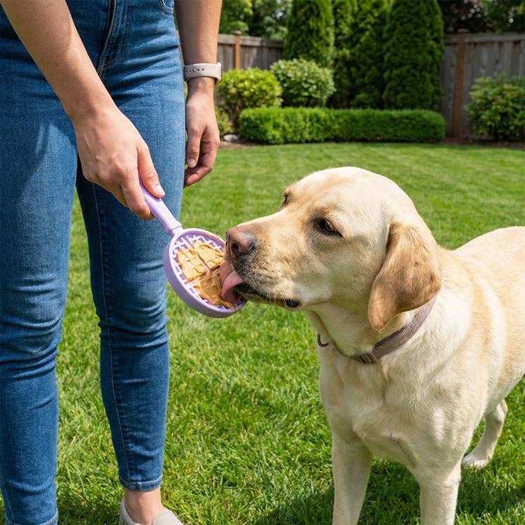 EStick Hand-Held Dog Enrichment Toy - Interactive Lick Stick | USA Made: Ice Cream Cone Lick Stick - Pink