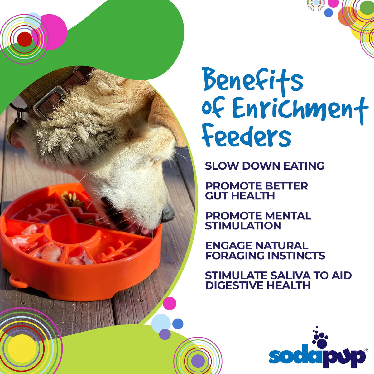 Great Outdoors eBowl - Slow Feeder Dog Bowl & Enrichment | USA Made: Orange