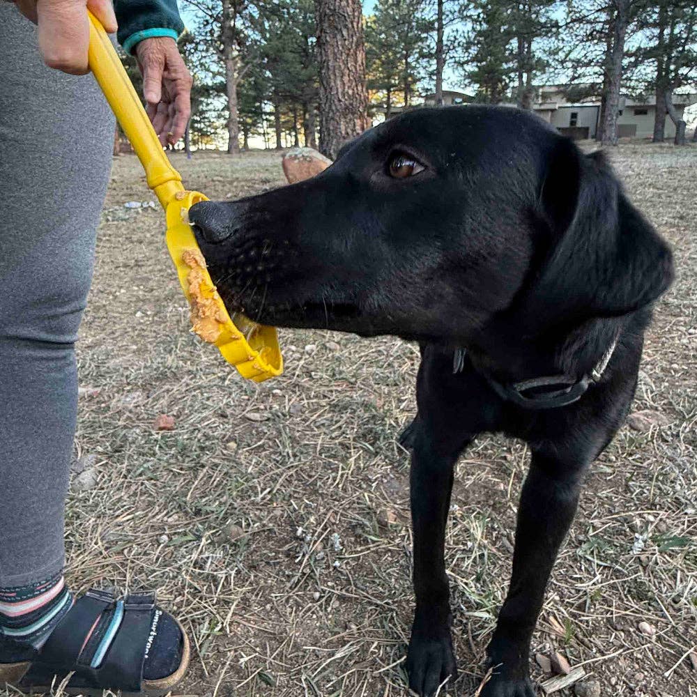 EStick Hand-Held Dog Enrichment Toy - Interactive Lick Stick | USA Made: Beehive Lick Stick - yellow