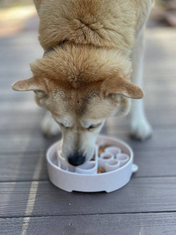 Java eBowl Deep Slow Feeder Dog Bowl for Enrichment | USA Made: Coffee Bean