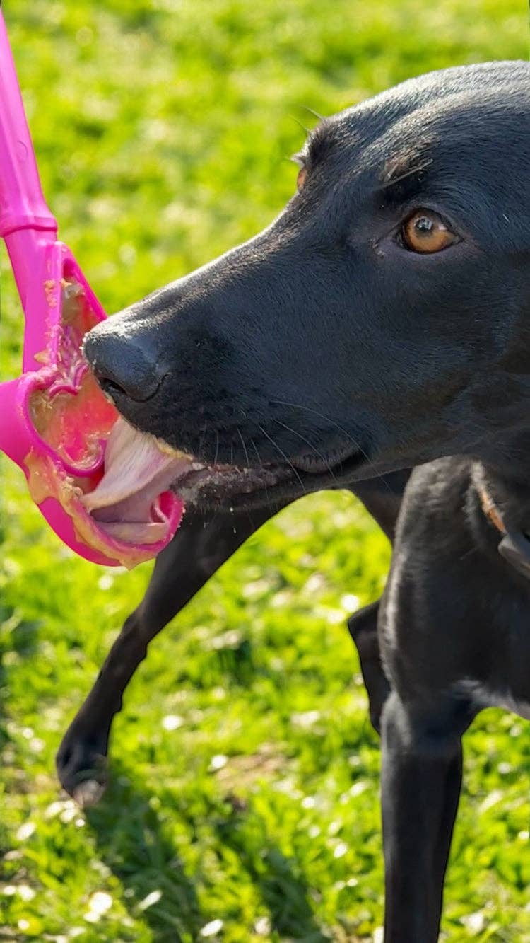 EStick Hand-Held Dog Enrichment Toy - Interactive Lick Stick | USA Made: Ice Cream Cone Lick Stick - Pink