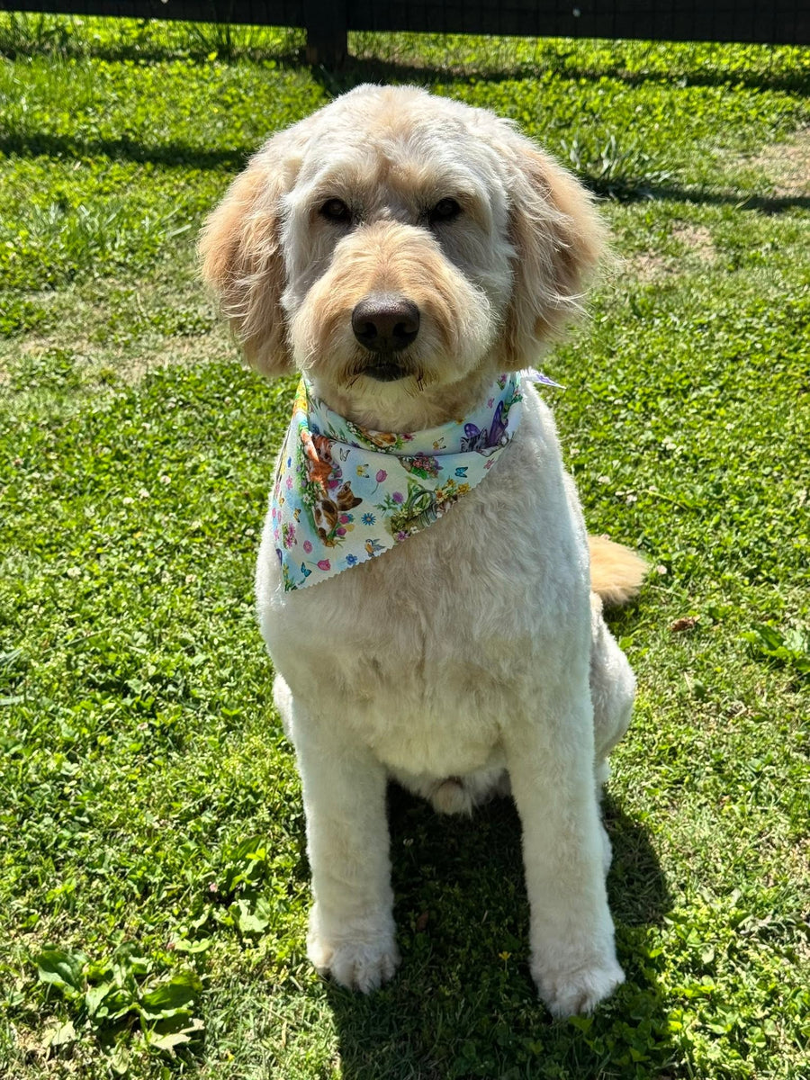 Fresh Cuts. Happy Pups.