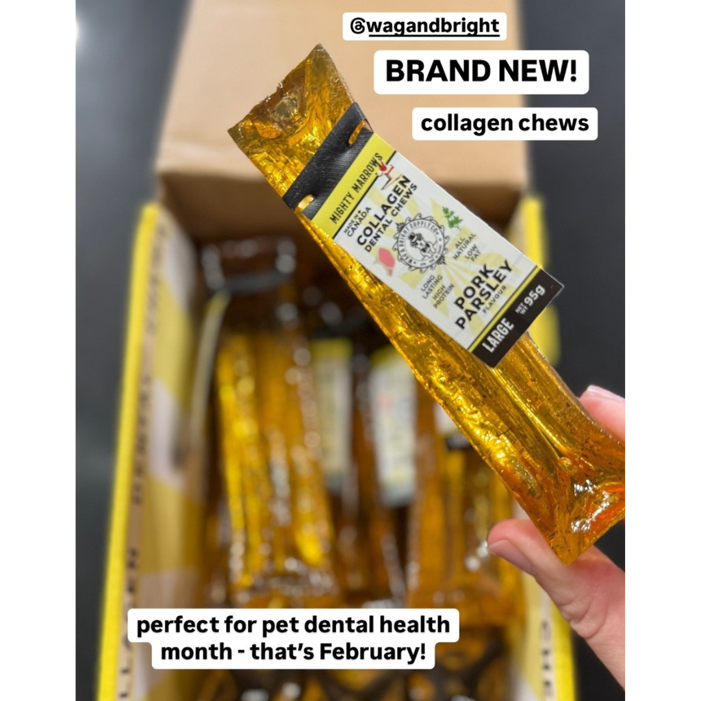 Mighty Marrows Collagen Dental Chew - Spirulina Beef -3 Size: Large