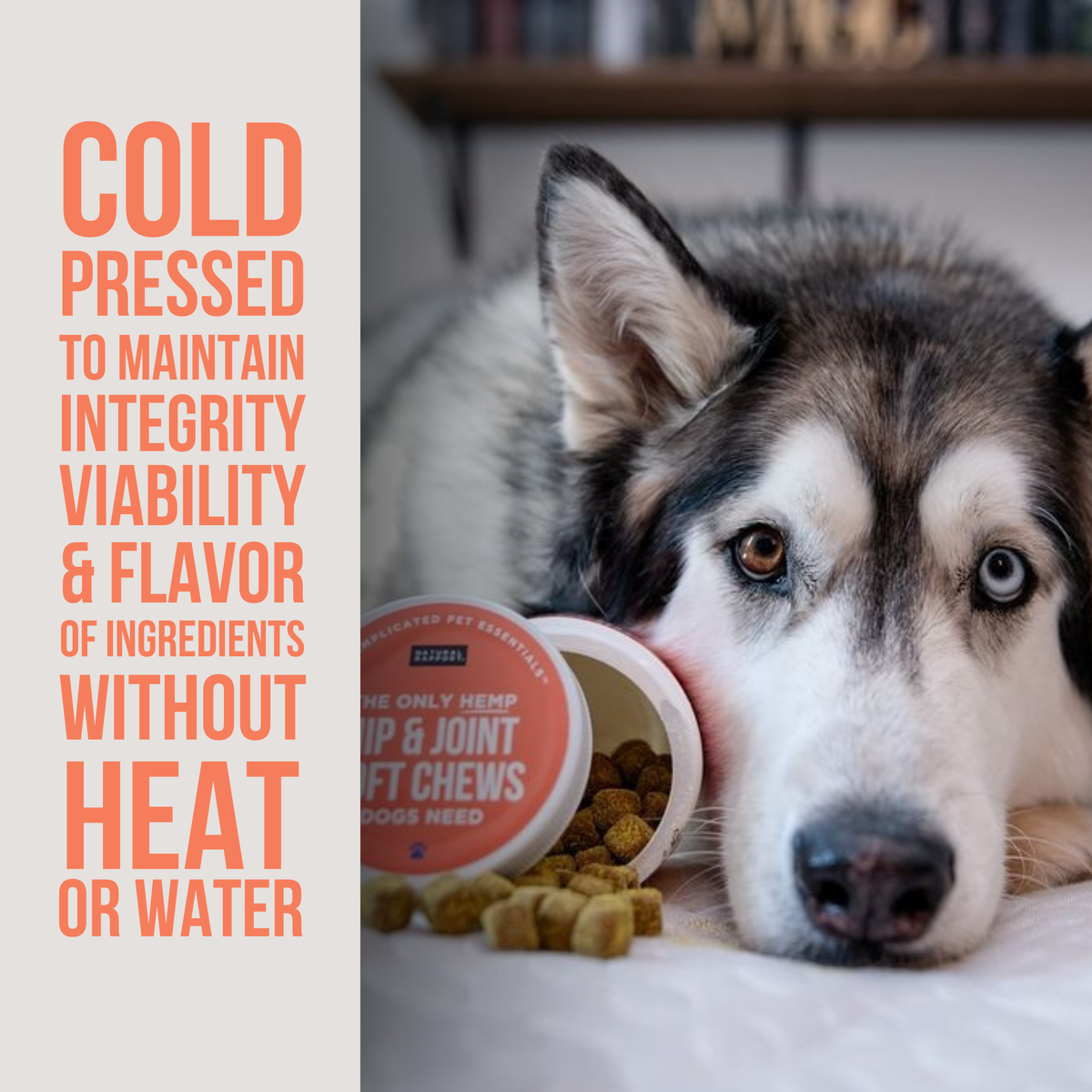 The Only Hemp Hip & Joint Soft Chews Dogs Need: 12 count pouch