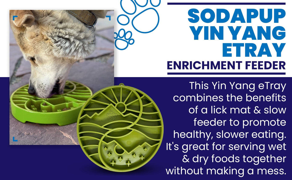 Sun and Moon eTray - Shallow Slow Feeder Dog Bowl for Enrichment | USA Made: Orange