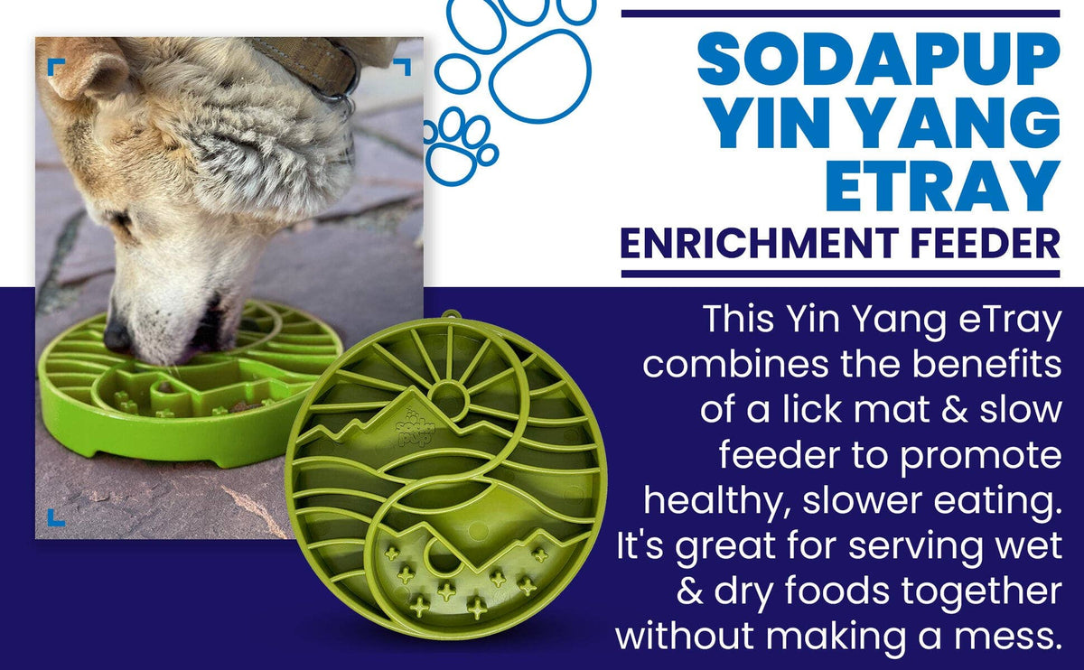 Sun and Moon eTray - Shallow Slow Feeder Dog Bowl for Enrichment | USA Made: Orange