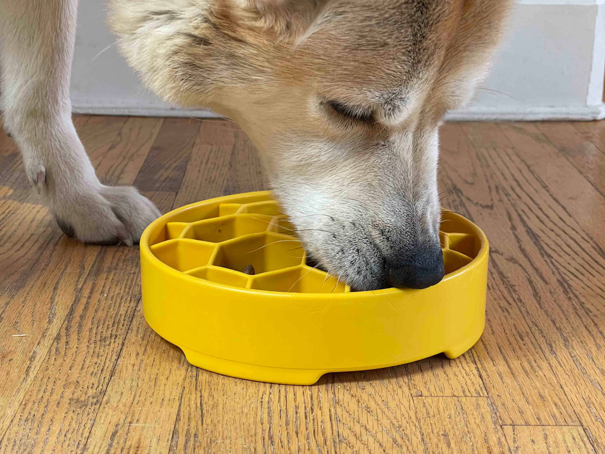 Honeycomb eBowl Deep Slow Feeder Dog Bowl for Enrichment | USA Made: Blue