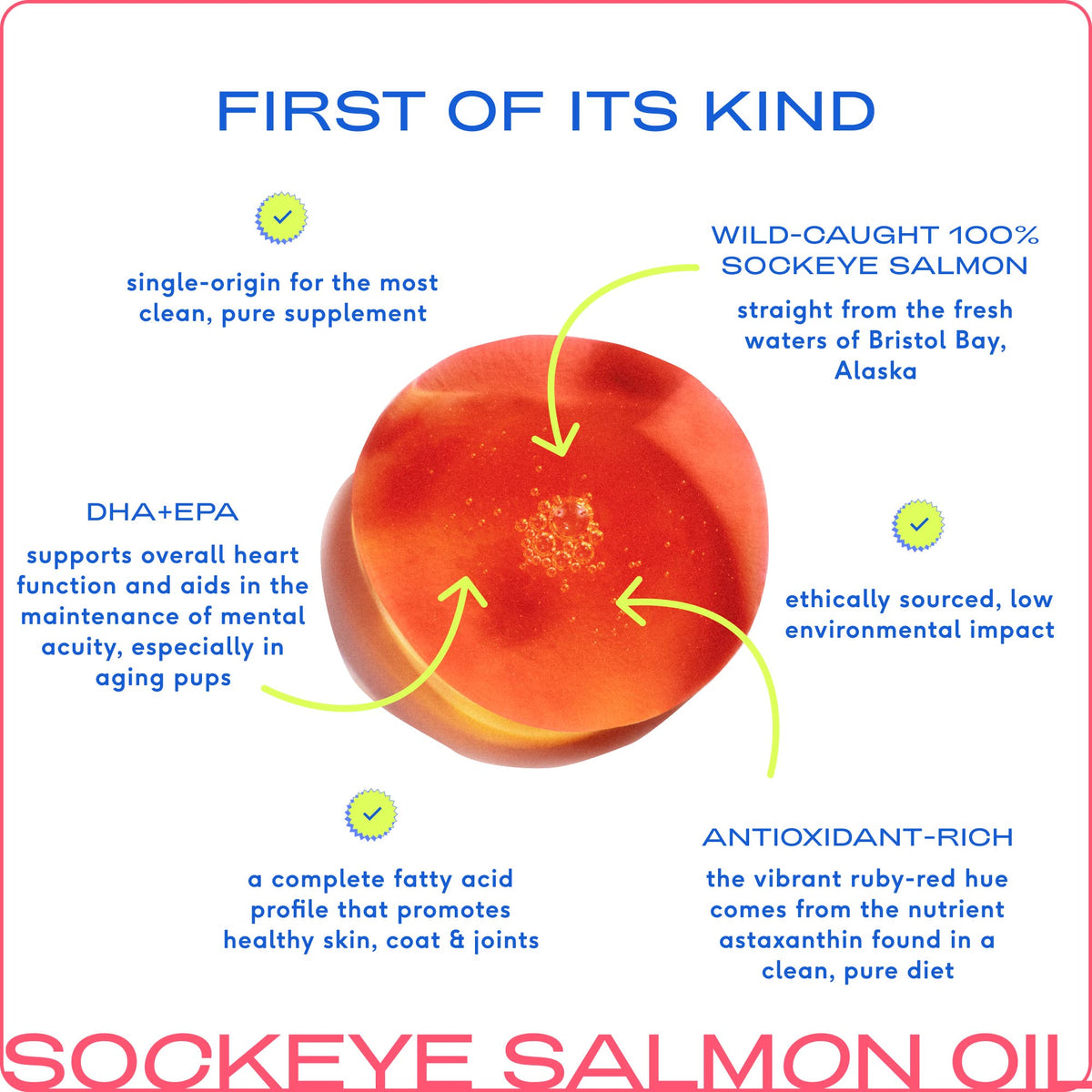 Wild-Caught Alaskan Sockeye Salmon Oil, Skin & Coat Health: 8 oz