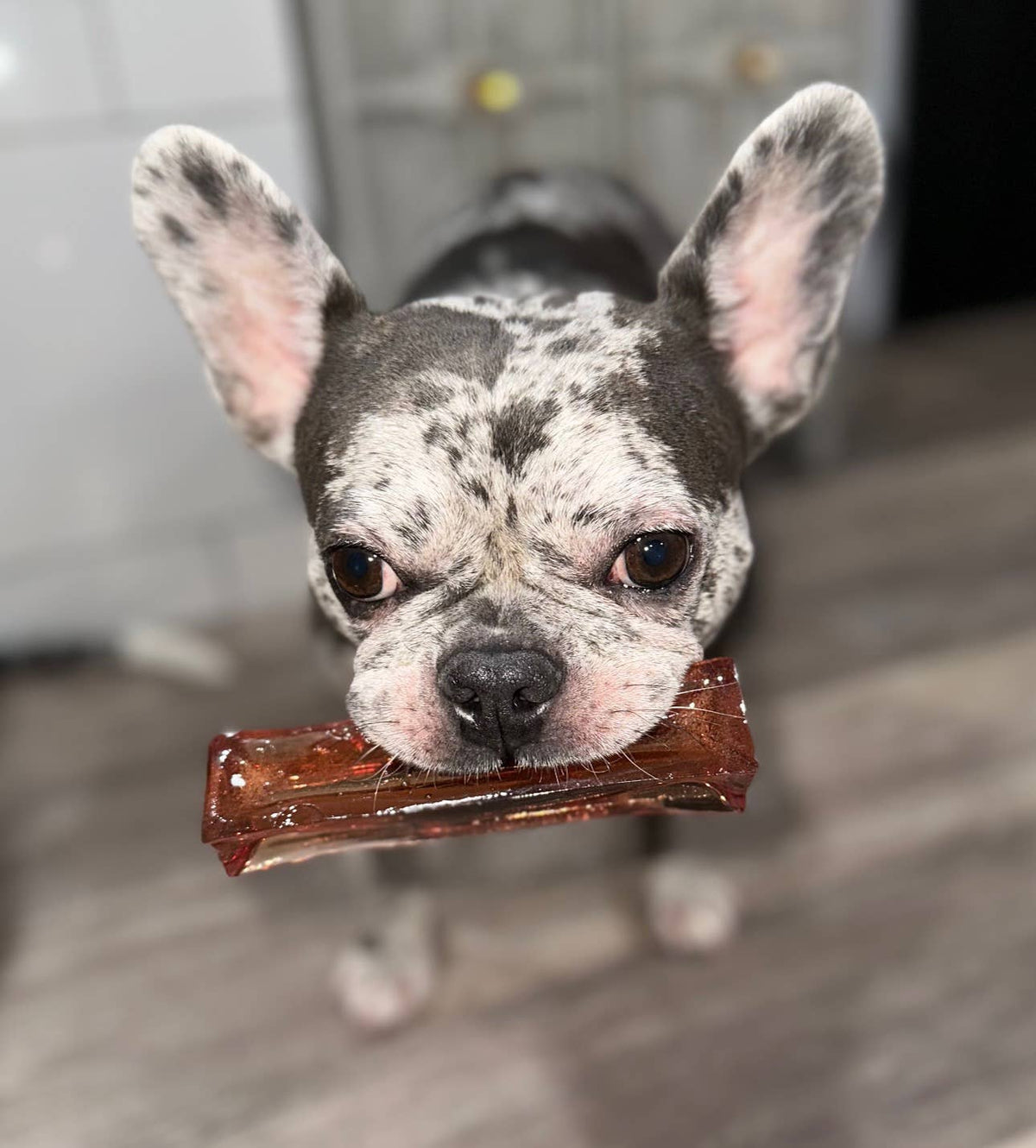 Mighty Marrows Collagen Dental Chew - Bacon - 3 Sizes: Large
