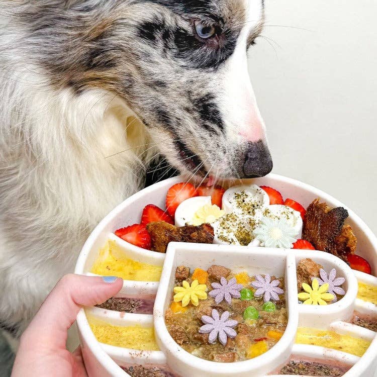 Java eBowl Deep Slow Feeder Dog Bowl for Enrichment | USA Made: Coffee Bean