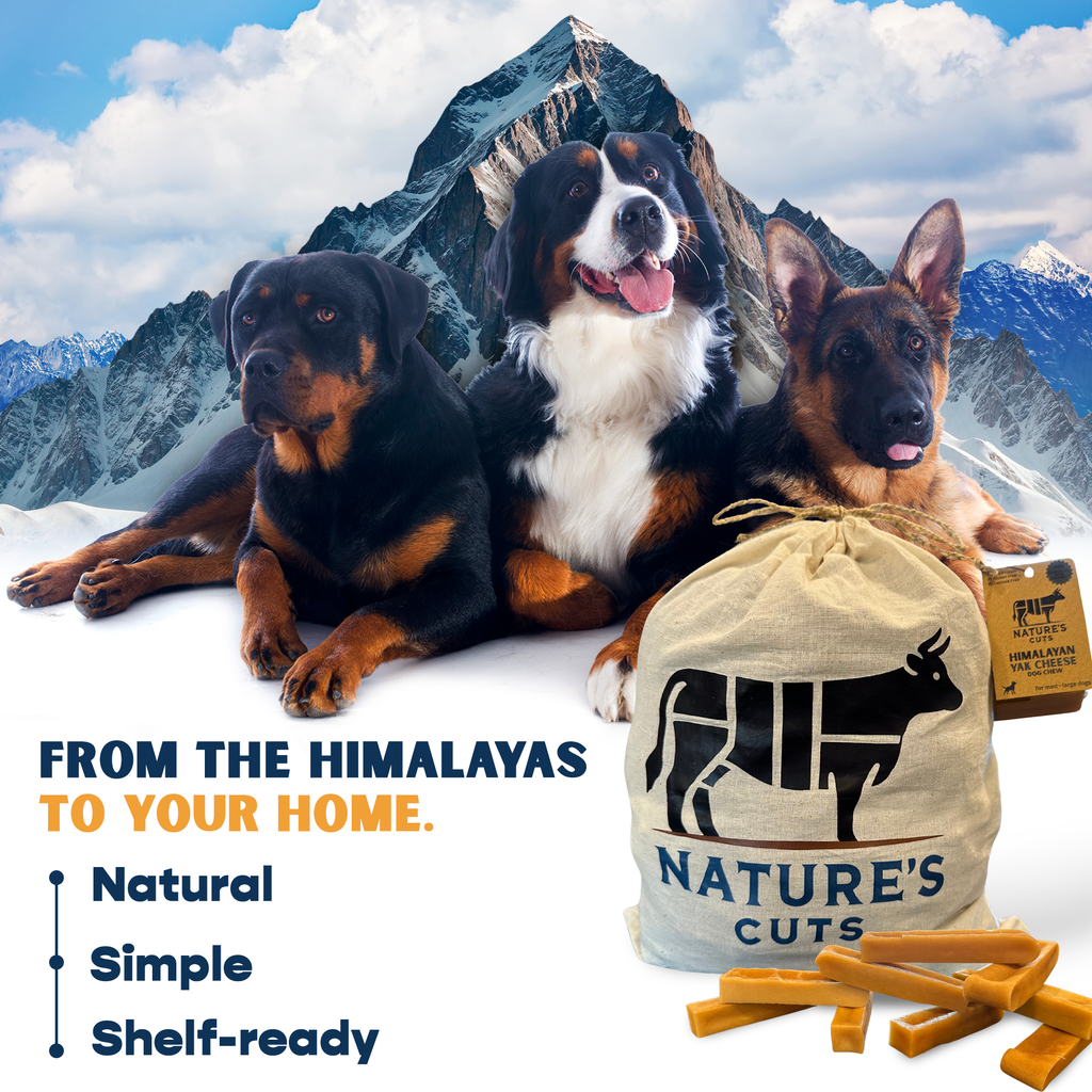 Three dogs sitting on a snowy mountain with a bag labeled 'Nature's Cuts' and dog treats.