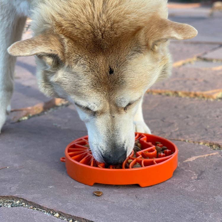 Sun and Moon eTray - Shallow Slow Feeder Dog Bowl for Enrichment | USA Made: Orange
