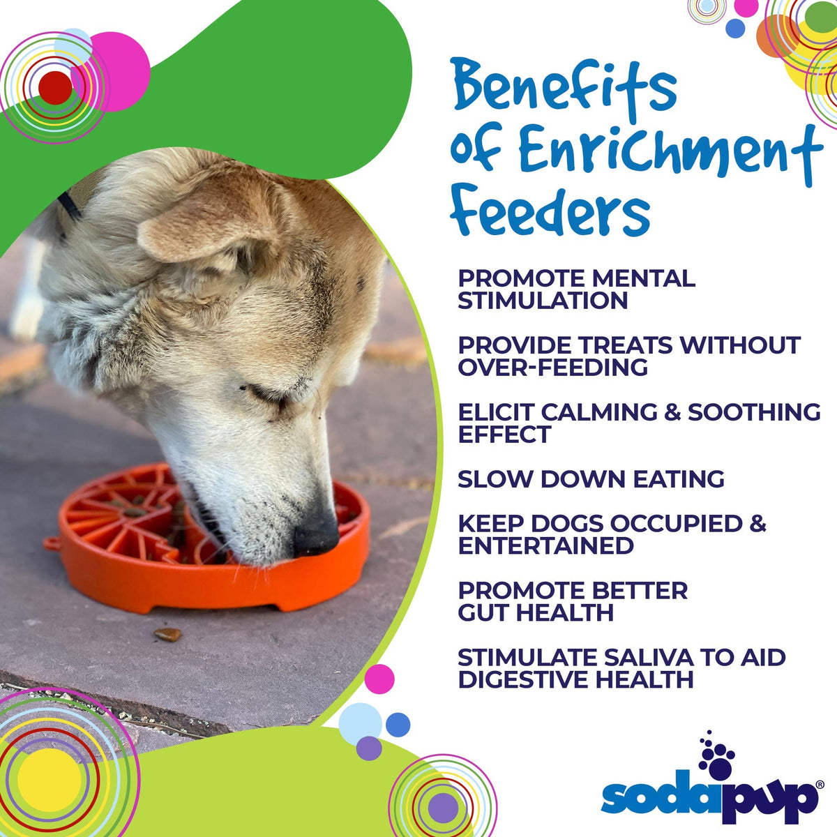 Sun and Moon eTray - Shallow Slow Feeder Dog Bowl for Enrichment | USA Made: Orange
