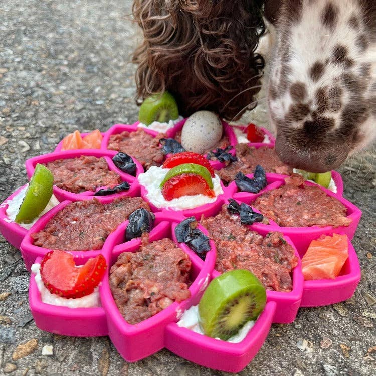 Mandala eTray Shallow Slow Feeder Dog Bowl for Enrichment | USA Made: Purple