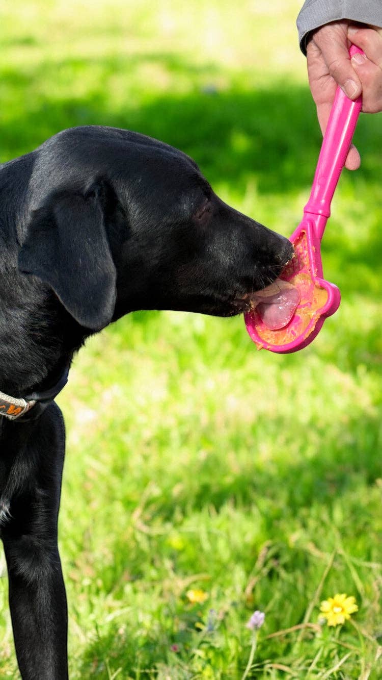 EStick Hand-Held Dog Enrichment Toy - Interactive Lick Stick | USA Made: Flower Lick Stick - Light Blue