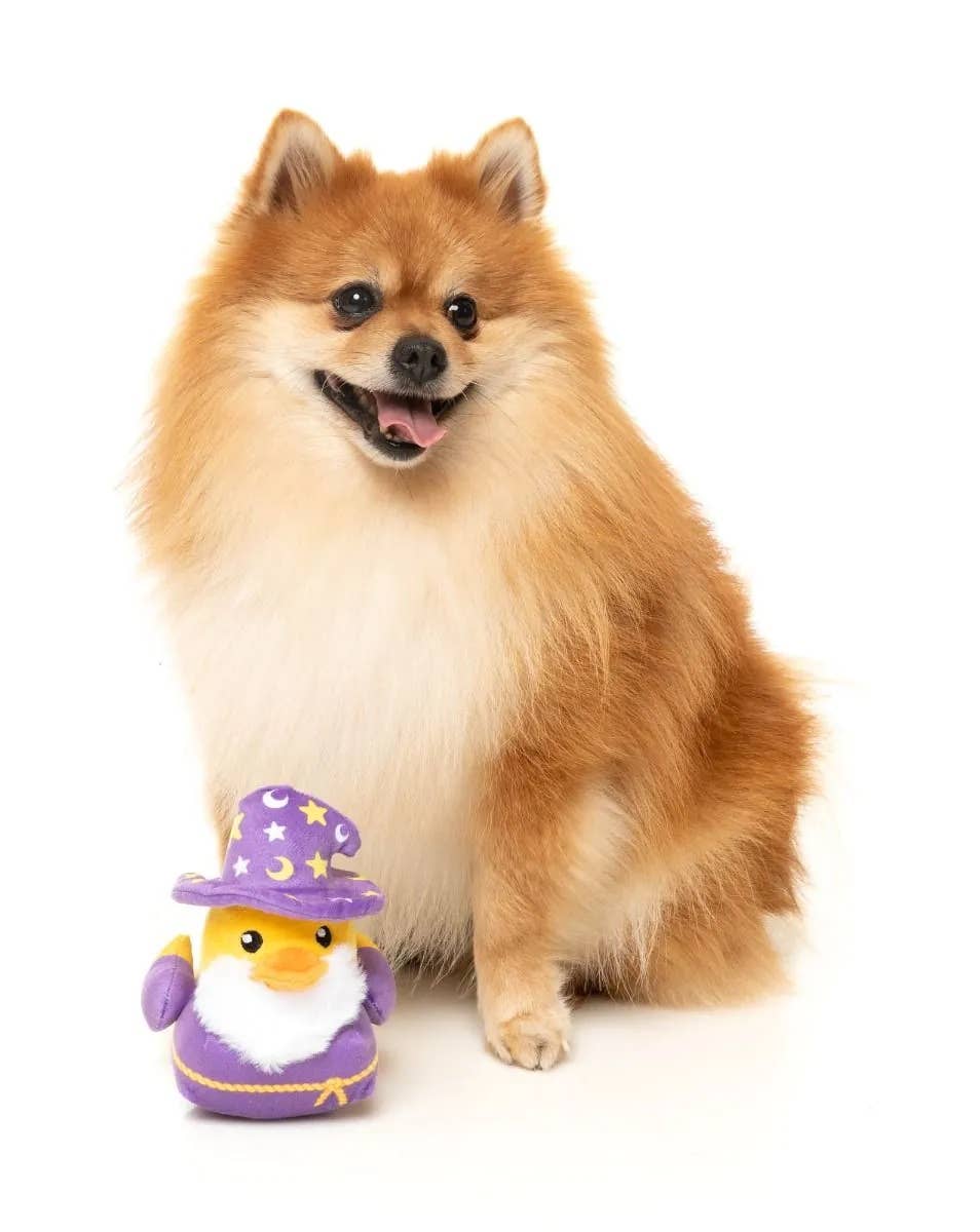FuzzYard Sirius Quack Plush Dog Toy Small