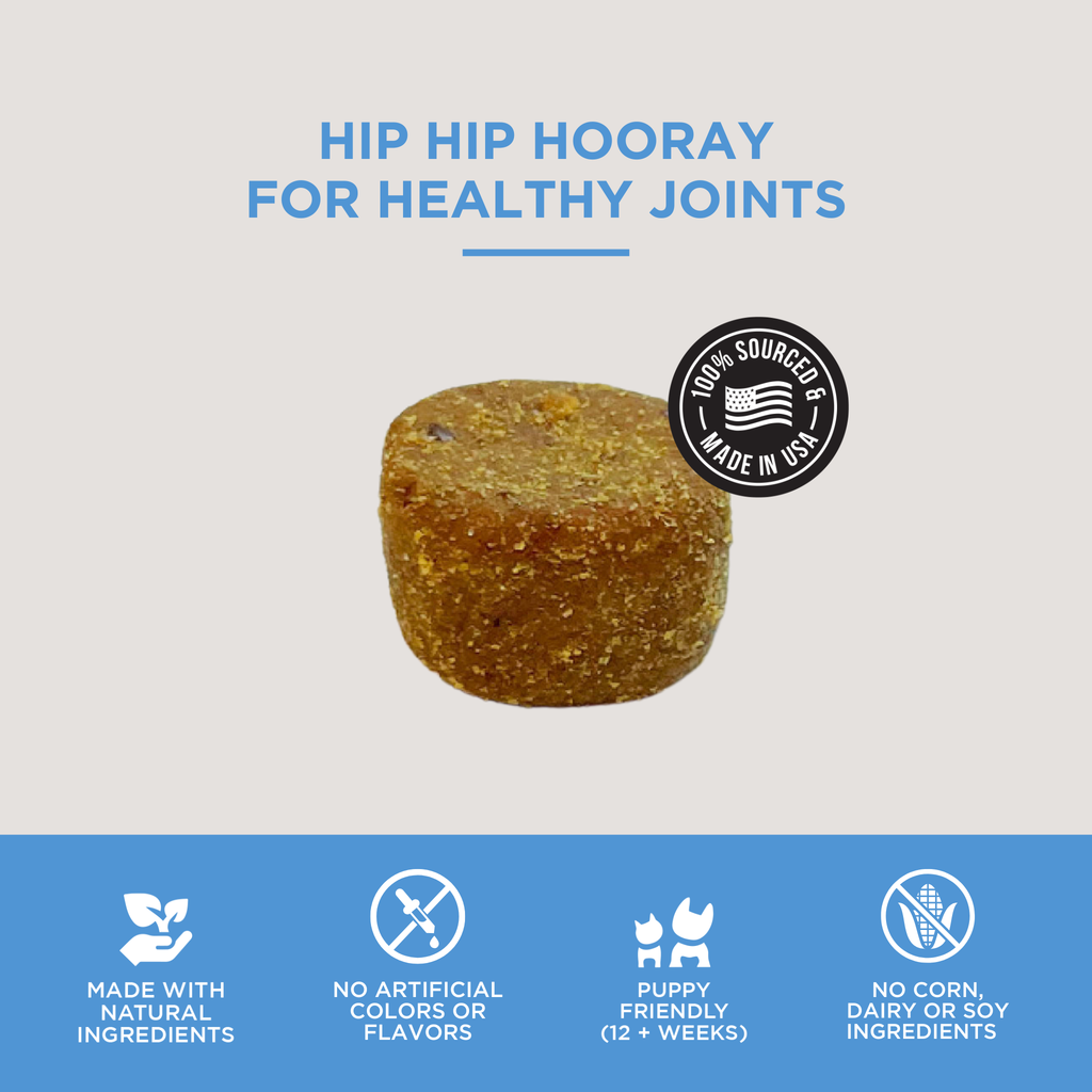 The Only Hip & Joint Soft Chews Dogs Need