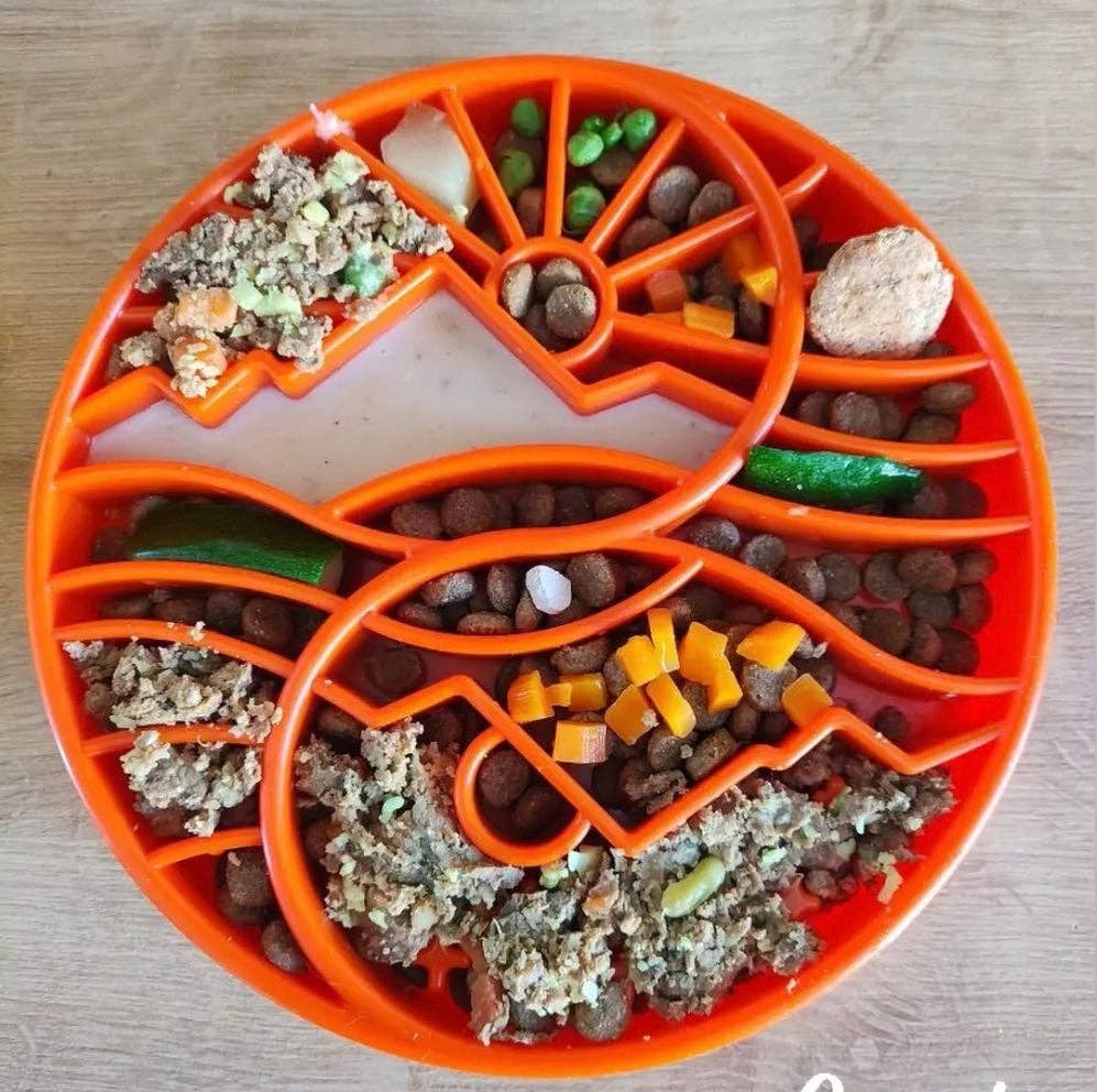 Sun and Moon eTray - Shallow Slow Feeder Dog Bowl for Enrichment | USA Made: Orange