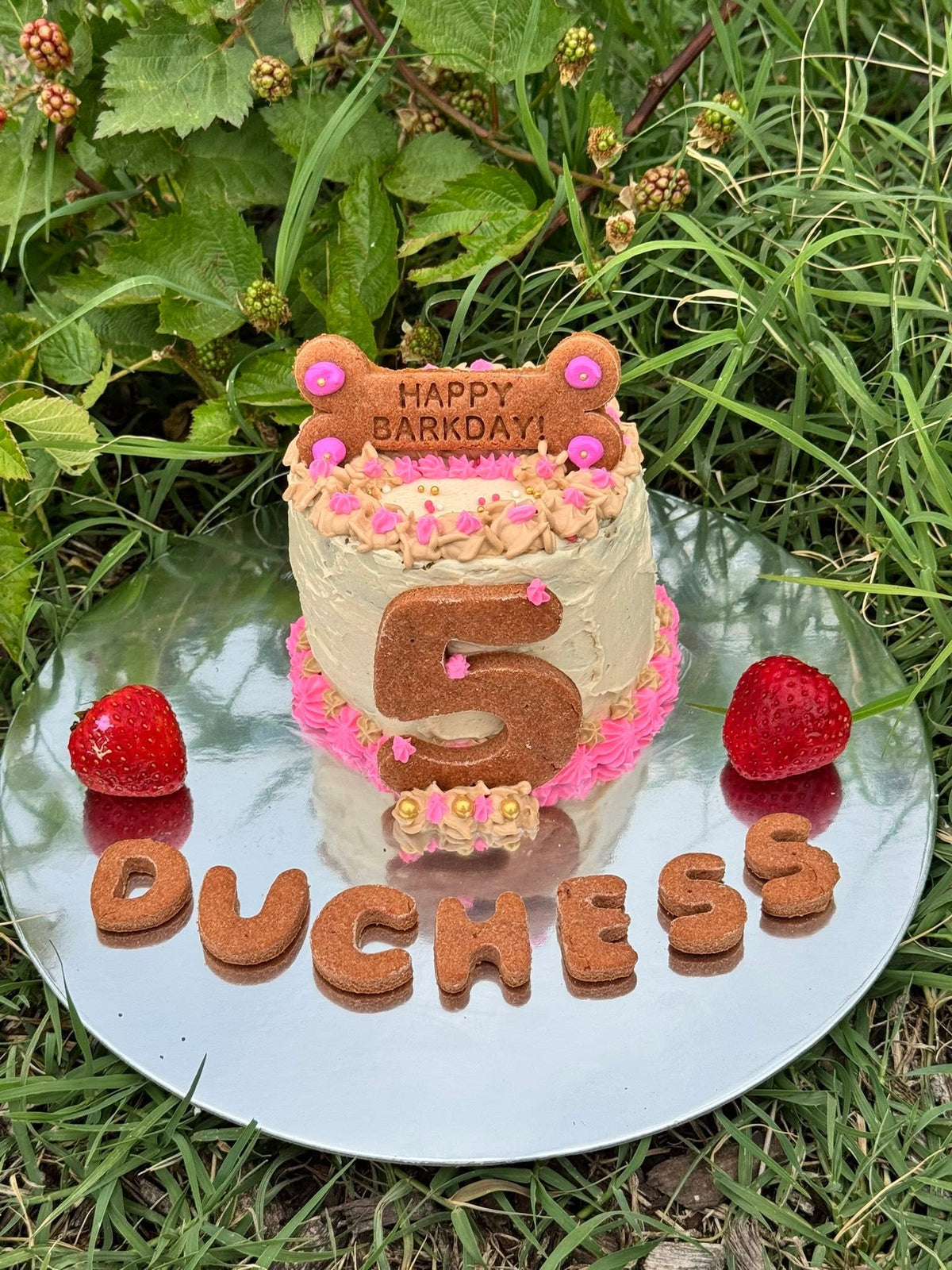 Custom cake from the Canine Kitchen