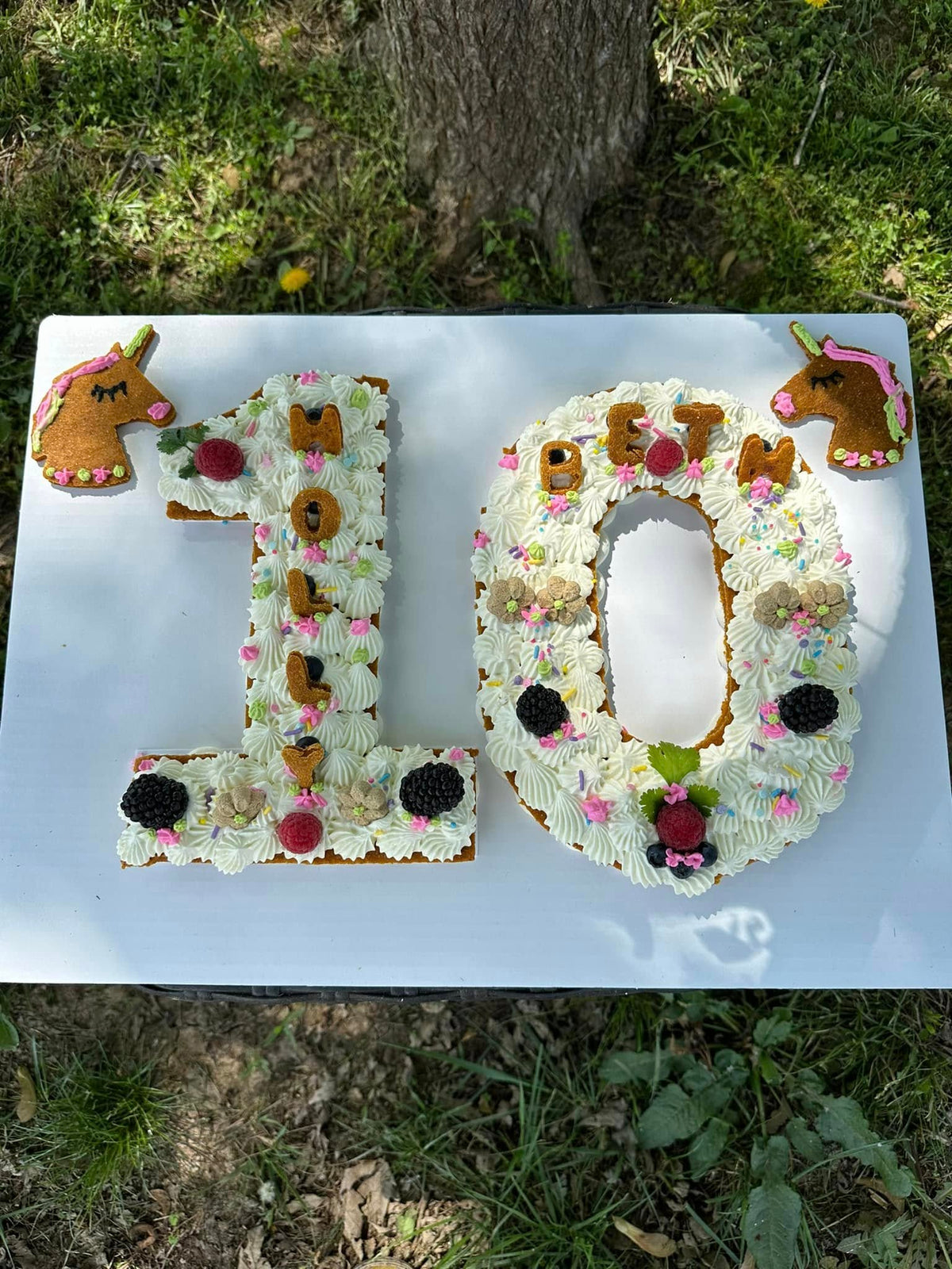 Custom cake from the Canine Kitchen