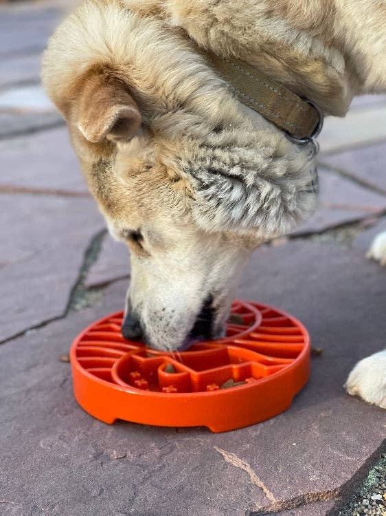 Sun and Moon eTray - Shallow Slow Feeder Dog Bowl for Enrichment | USA Made: Orange
