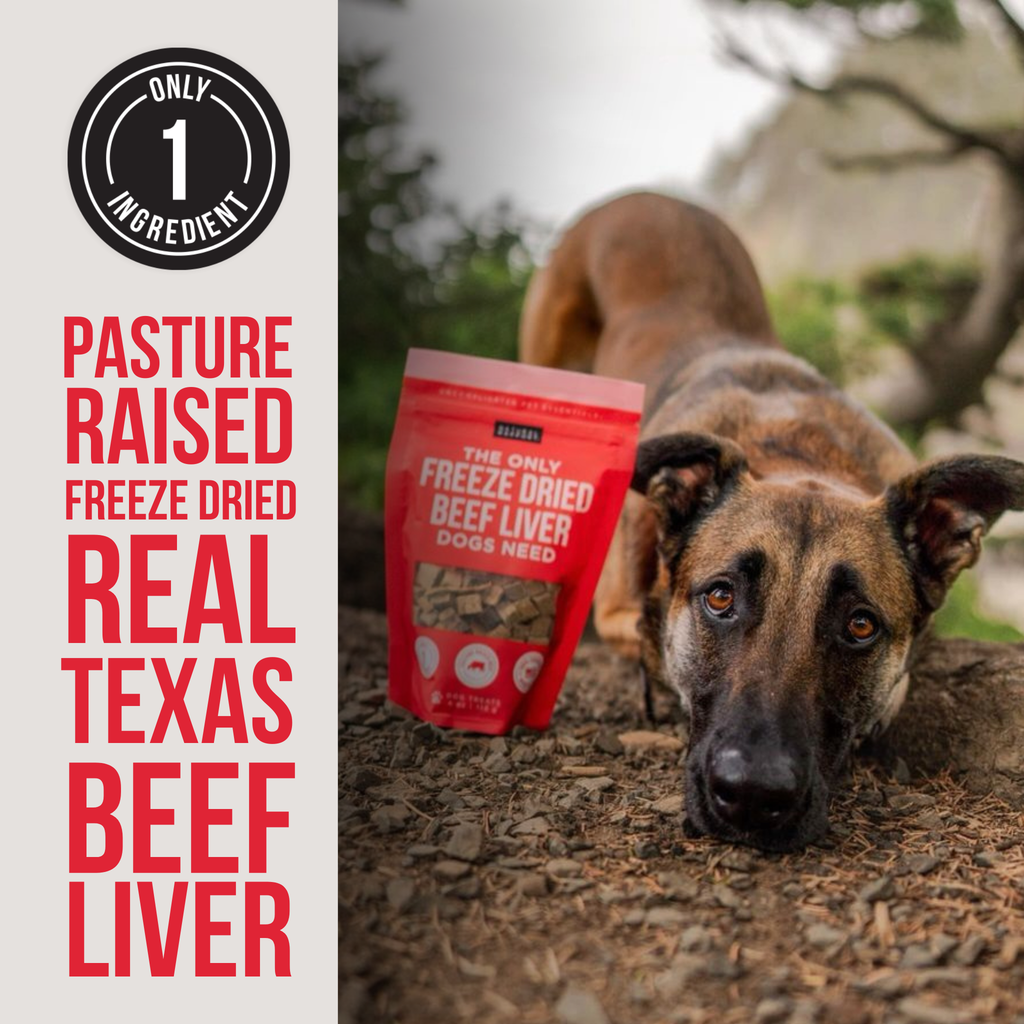 The Only Freeze Dried Beef Liver Dogs Need: Sample Bag - Approx. 1 oz