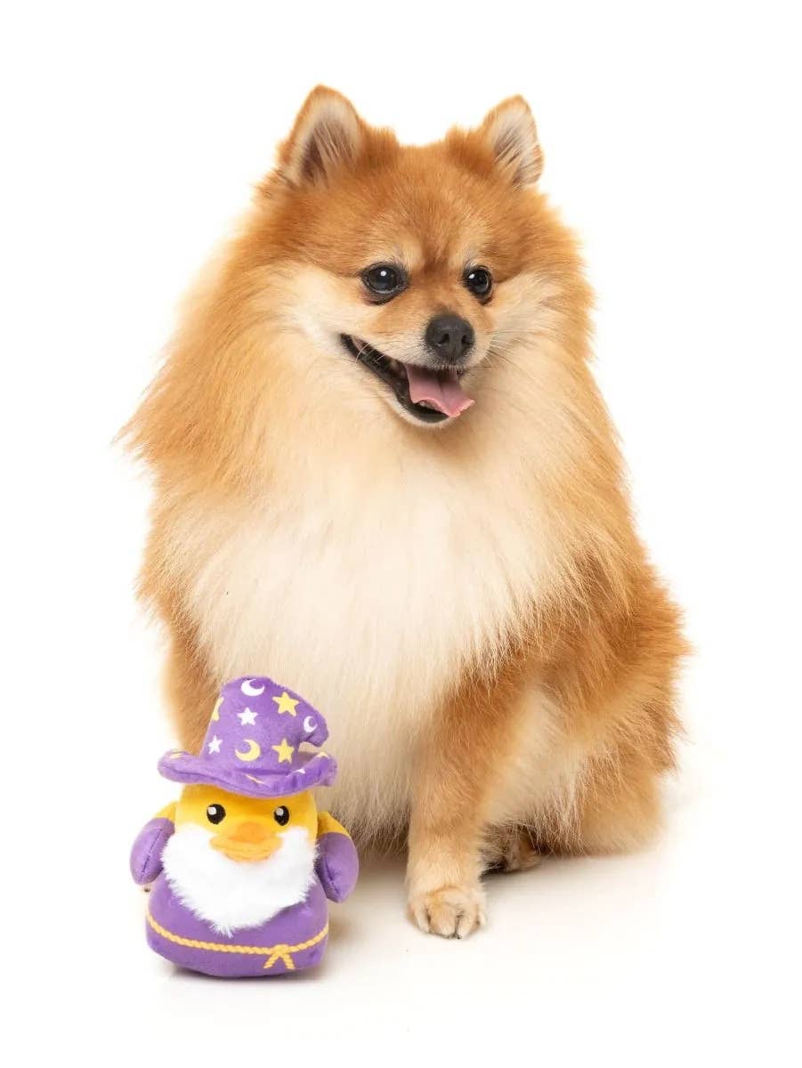 FuzzYard Sirius Quack Plush Dog Toy Small