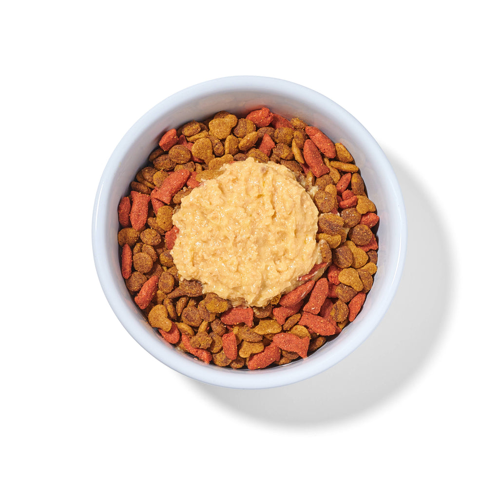 Luke's Chicken N' Pumpkin Human Grade Fresh Wet Food