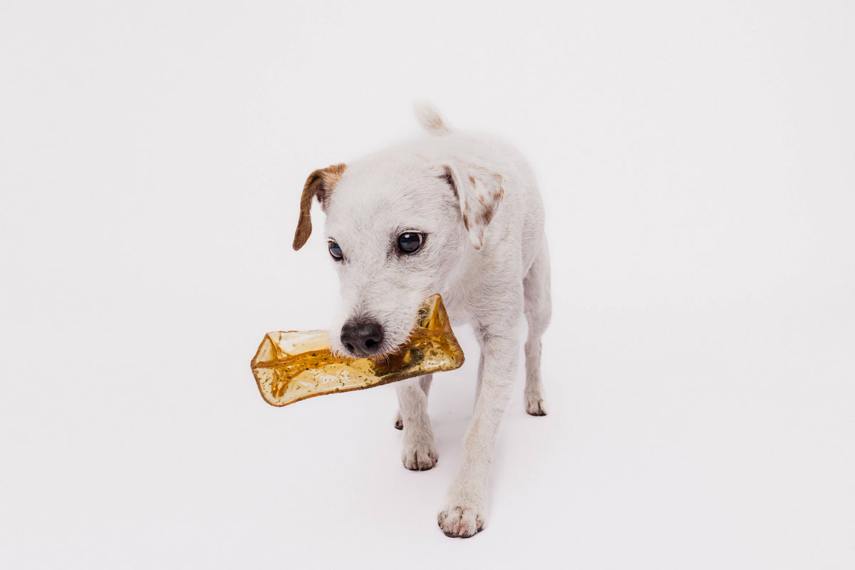 Mighty Marrows Collagen Dental Chew - Bacon - 3 Sizes: Large