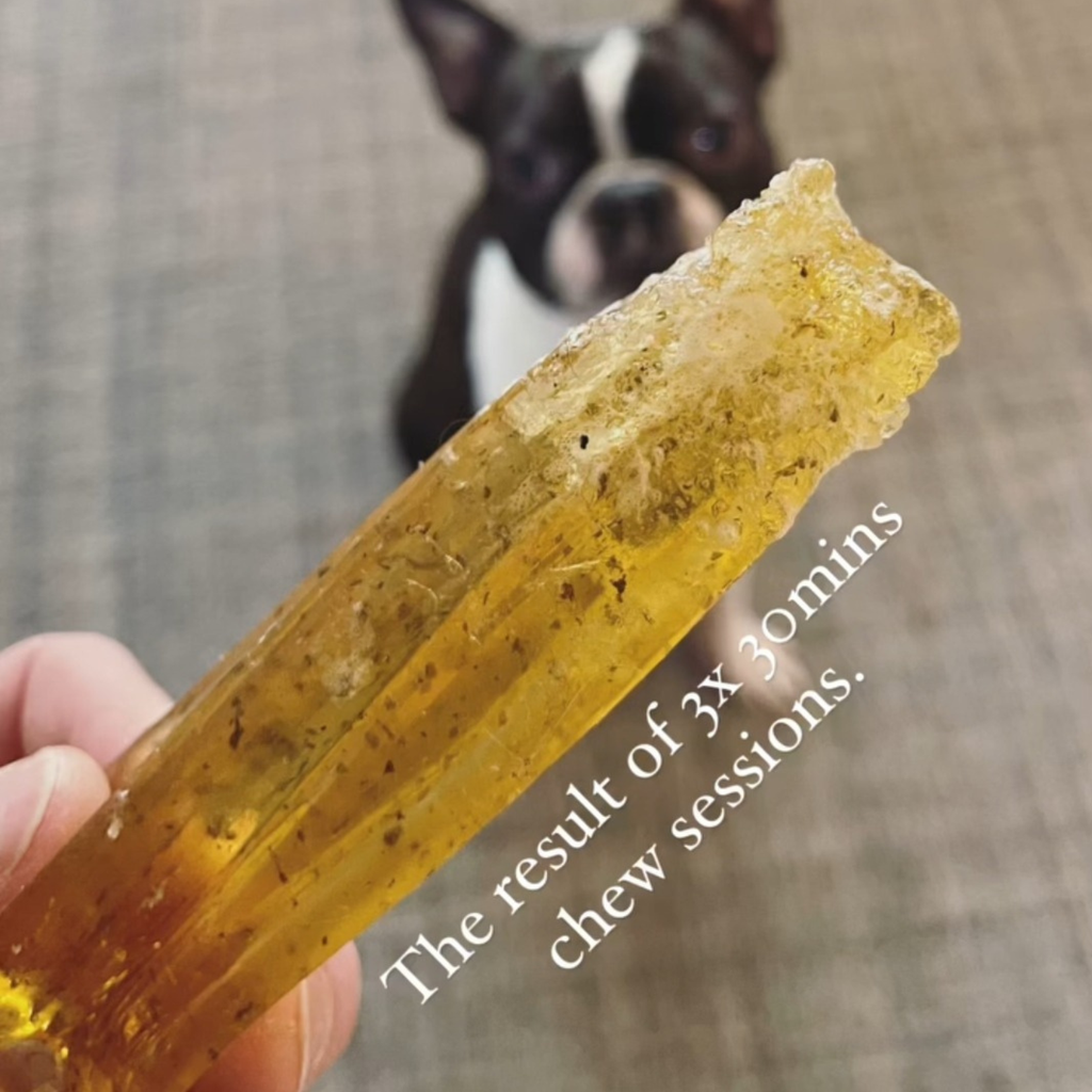 Mighty Marrows Collagen Dental Chew - Pork Parsley - SM/LG: Large