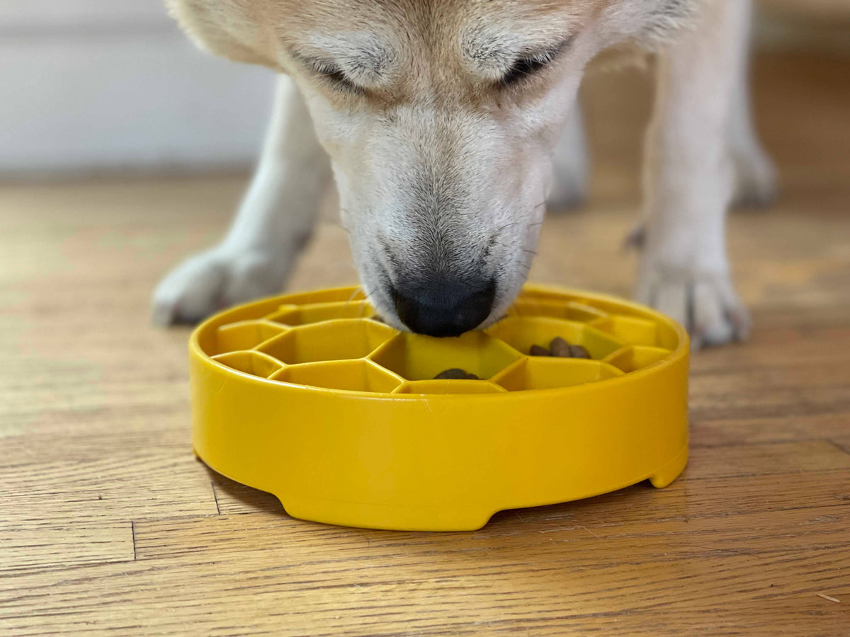 Honeycomb eBowl Deep Slow Feeder Dog Bowl for Enrichment | USA Made: Yellow