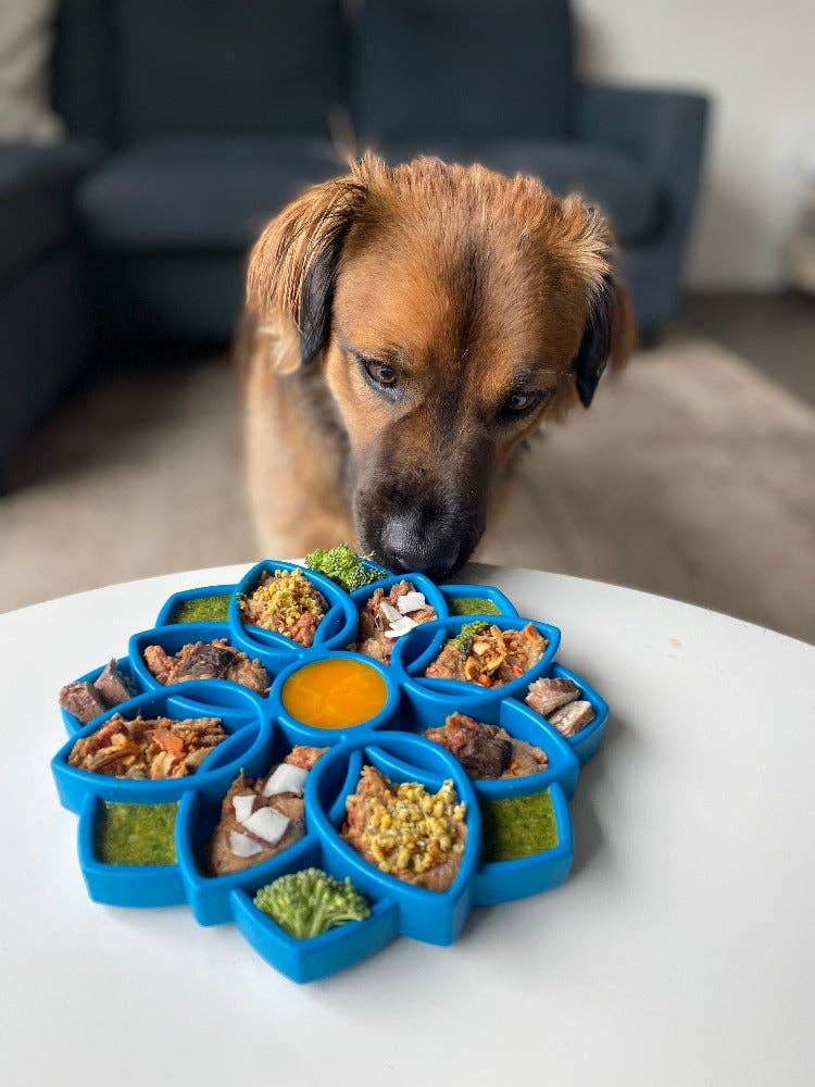 Mandala eTray Shallow Slow Feeder Dog Bowl for Enrichment | USA Made: Purple