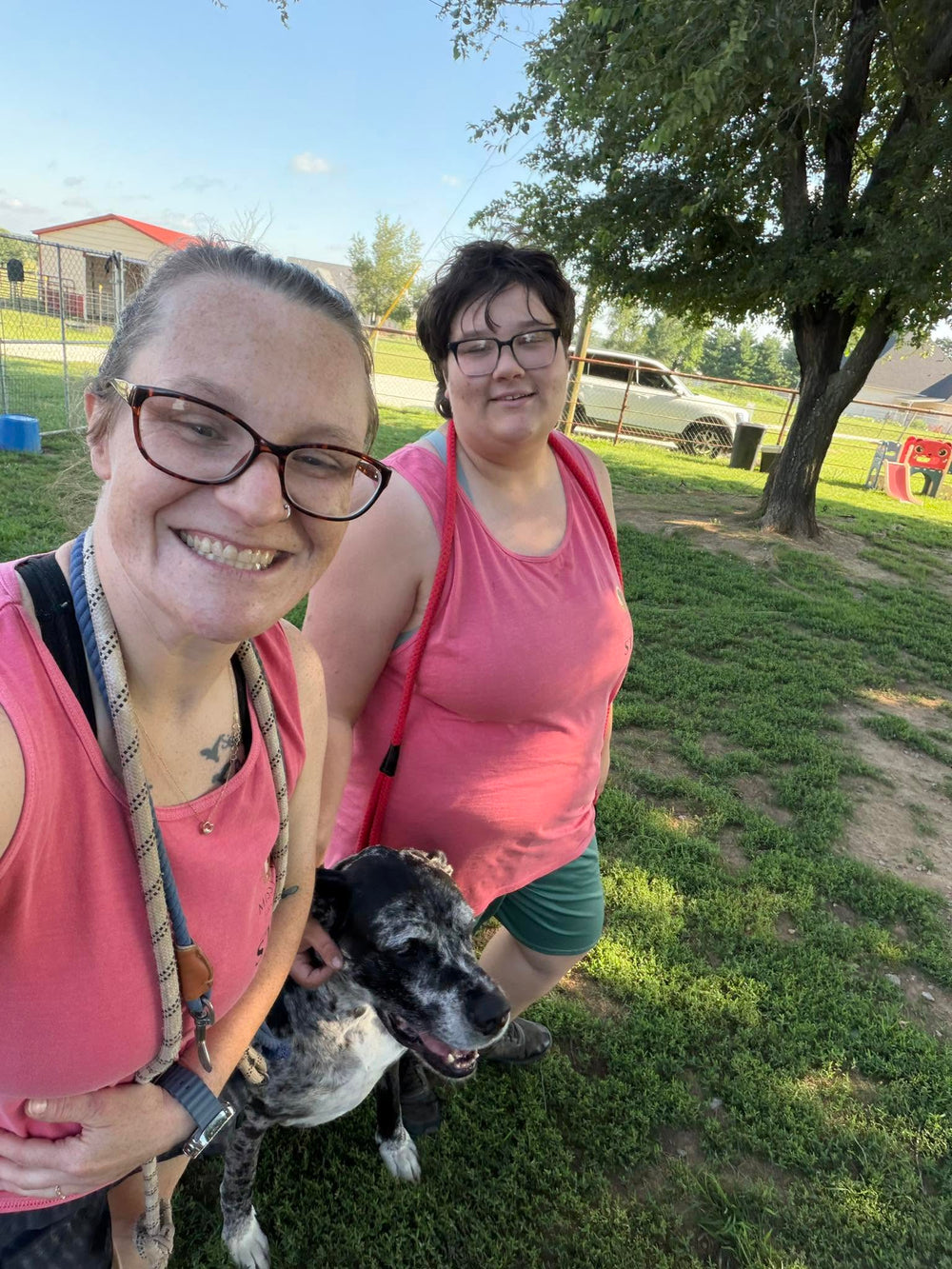 Missy Liu’s daycare team spending time with a dog in the outdoor play yard in Farmington, Arkansas