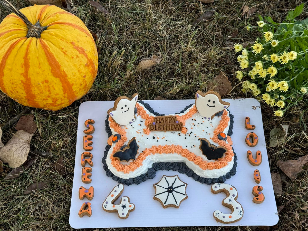 Halloween-themed custom dog birthday cake with ghost, bat and spider treats from Missy Liu’s Canine Kitchen in Farmington, Arkansas