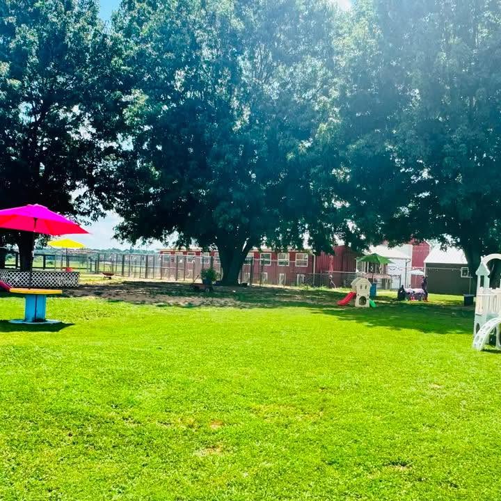 Outdoor play yard at Missy Liu’s dog daycare property in Farmington, Arkansas