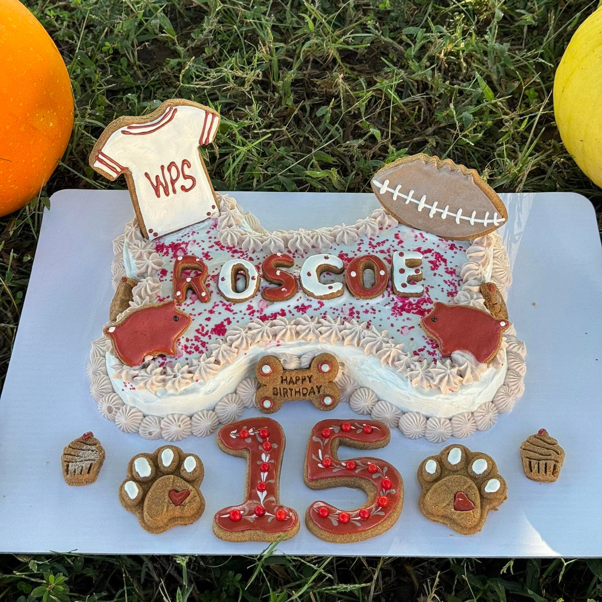 Roscoe’s custom 15th birthday dog cake with Arkansas Razorback and football-themed treats