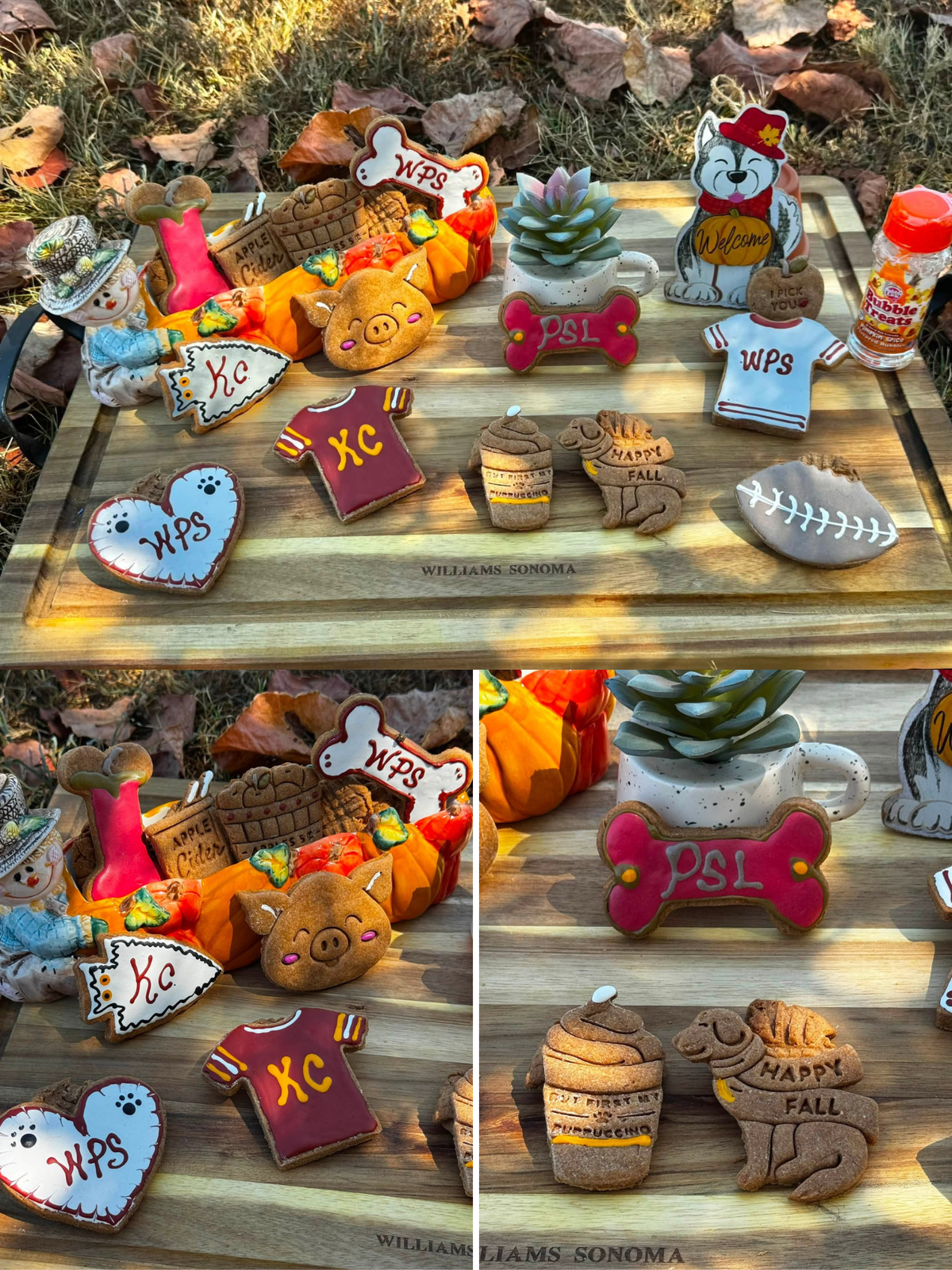 Seasonal and themed decorated dog cookies from Missy Liu’s Canine Kitchen in Farmington, Arkansas
